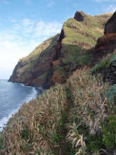 Madeira