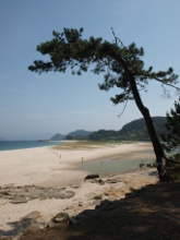 Pláž na ostrově Cies