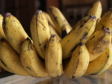 Filipíny - filipínské banány