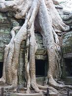 Angkor Wat Angkor Wat
