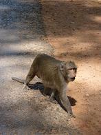 Angkor Wat Angkor Wat
