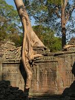 Angkor Wat