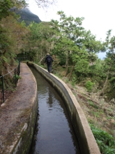 Levády v okolí míst ENCUMEADA na Madeiře