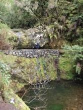 Leváda Ribeiro Frio - Portela na Madeiře