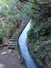 Levády u Rabaçalu na Madeiře