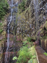 Levády u Rabaçalu na Madeiře