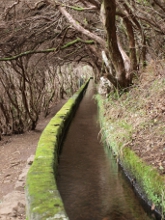 Levády u Rabaçalu na Madeiře