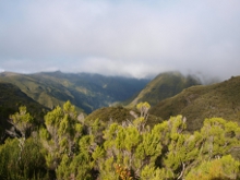 Levády u Rabaçalu na Madeiře - 25 pramenů - 25 fontes