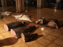Negombo - rybí trh