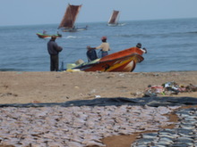 Negombo