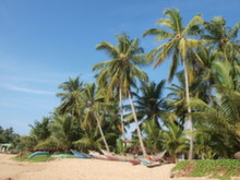 Pláž Tangalle