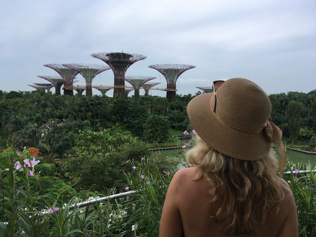 Supertrees