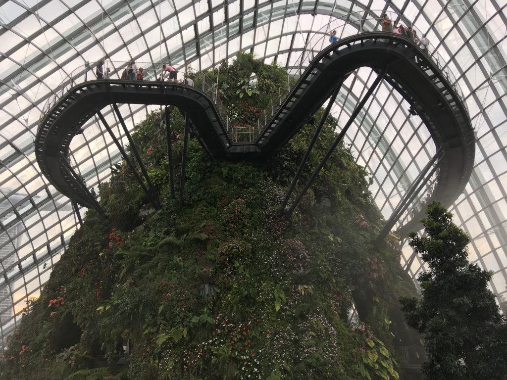 Cloud Forest