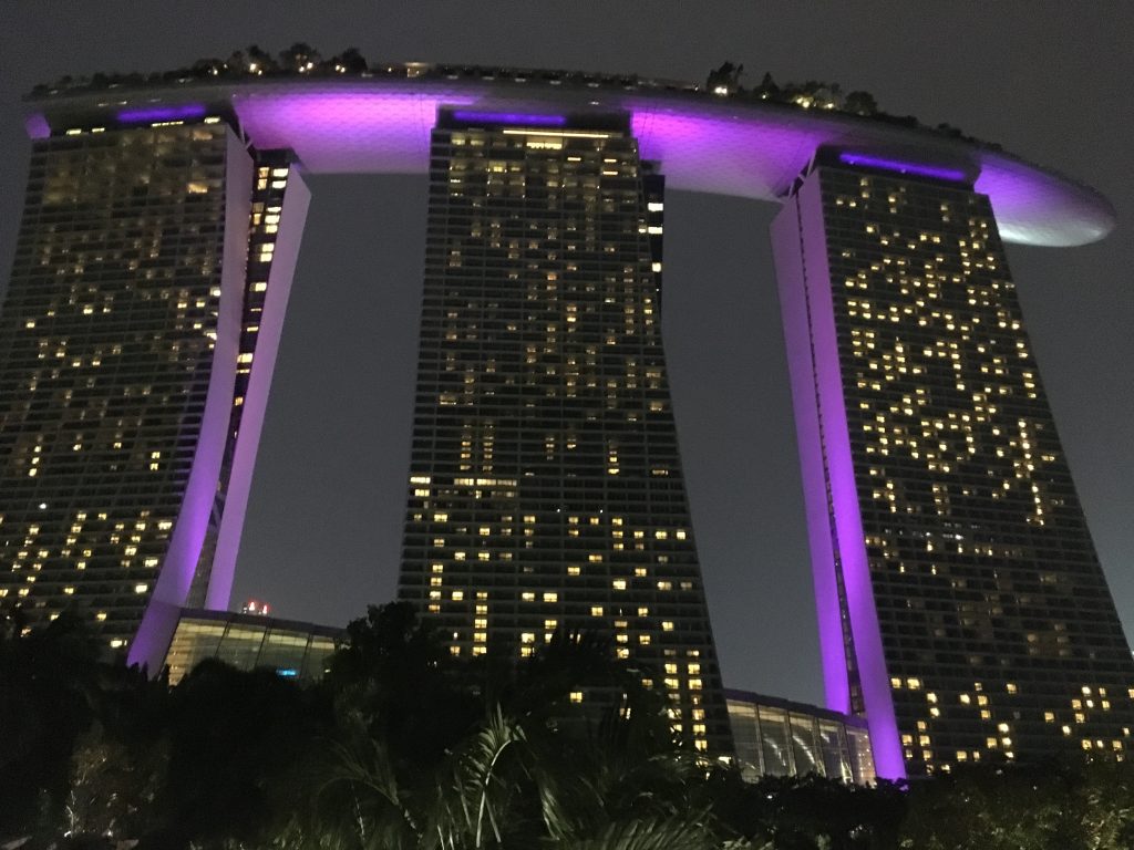 Marina Bay Sands v noci