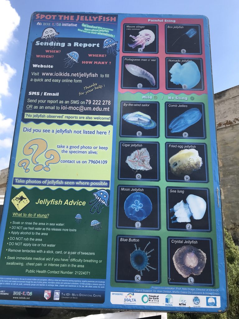 Meduzy na Malcie