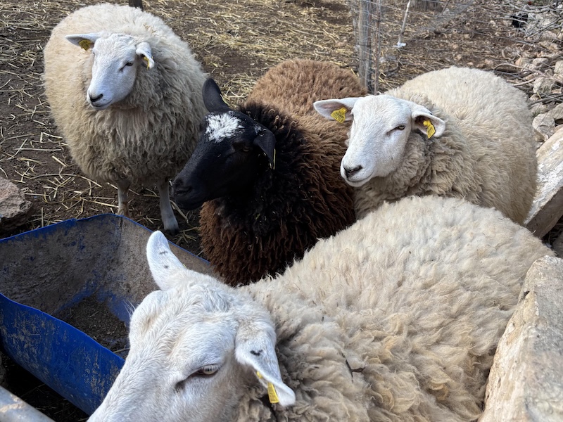 Messy play na Maltě