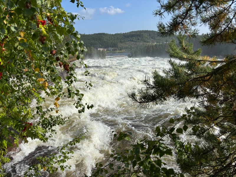 Divoké peřeje Storforsen obklopené lesem ve Švédském Laponsku