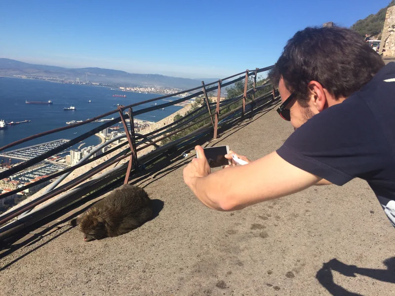 Návštěvník fotografuje makaka ležícího na cestě nad přístavem