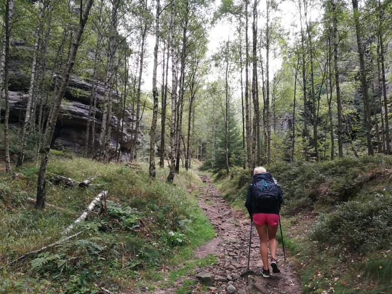 Turistka s batohem a trekovými holemi na kamenité lesní stezce